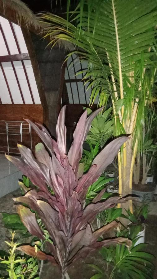 Mirna Homestay Gili Air Exteriör bild